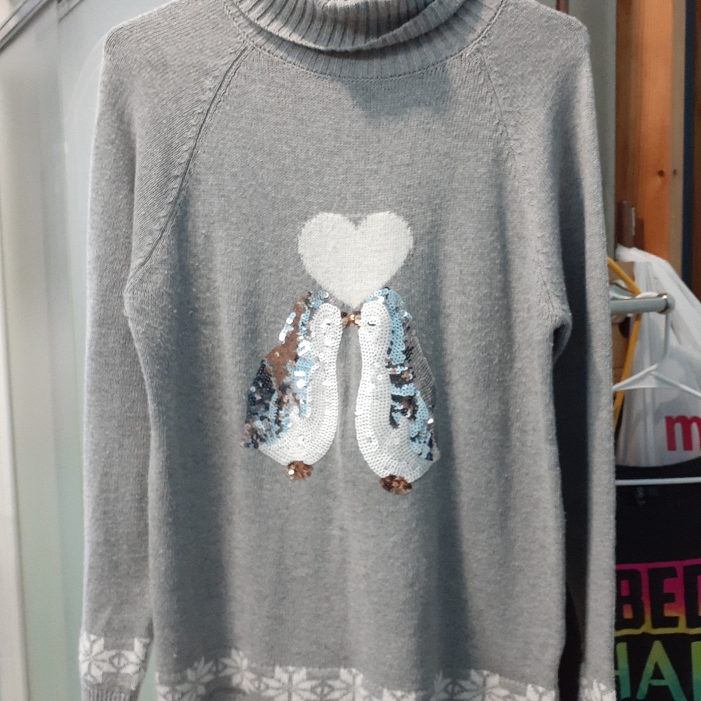 Long sleeve turtleneck sweater